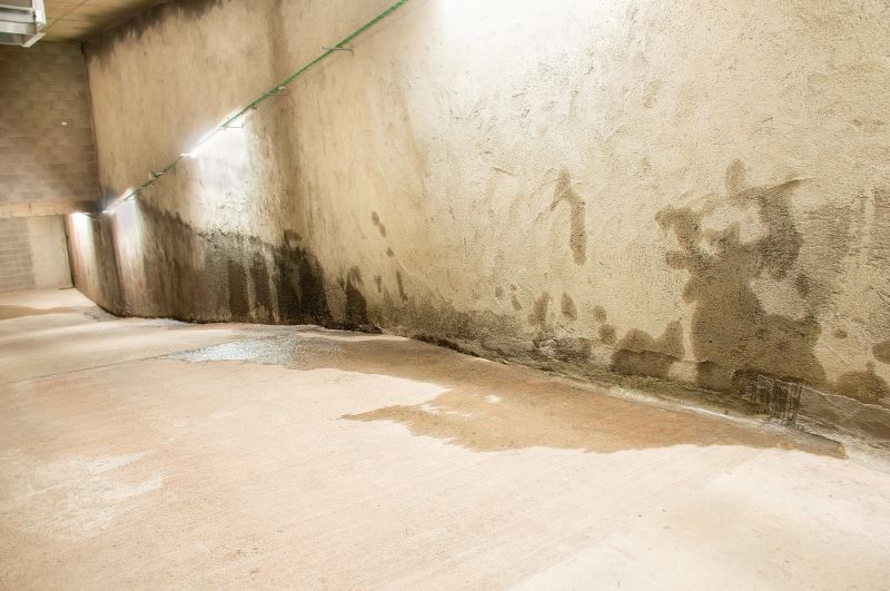 Basement Seepage Repair